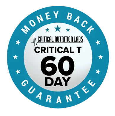Money Back Guarantee